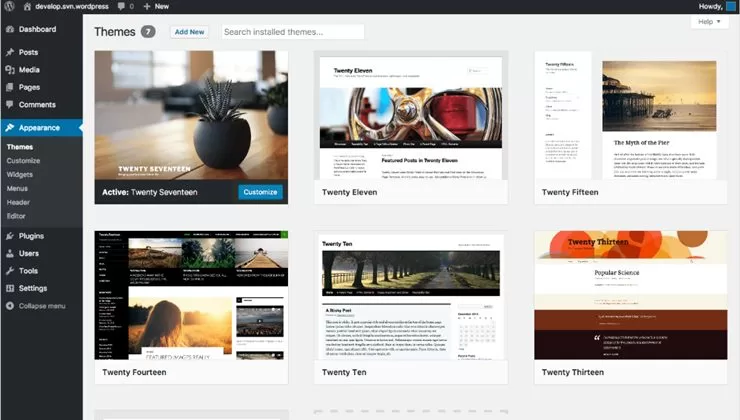 WordPress Nedir? Tema Seçiminde Nelere Dikkat Etmek Gerekir?