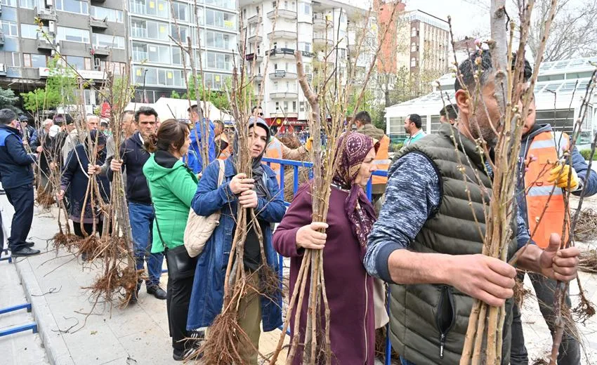 Isparta Belediyesi 55 Bin Meyve Fidanı Dağıttı