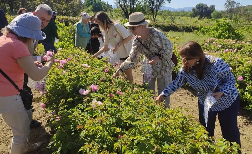 Isparta’ya Gül Turizminde Bu Yıl Rekor Ziyaretçi Bekleniyor