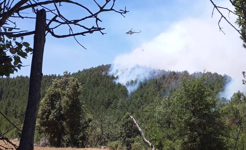 Isparta’da Orman Yangını