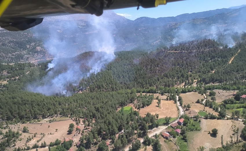 Isparta’da Yaşanan Orman Yangınının Bilançosu Ortaya Çıktı
