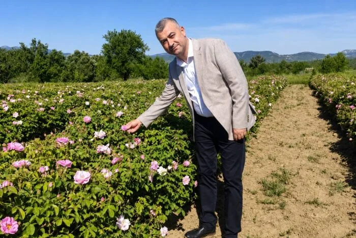 Gülün Başkentinde Hummalı Çalışma: Isparta Buram Buram “Gül” Kokuyor!