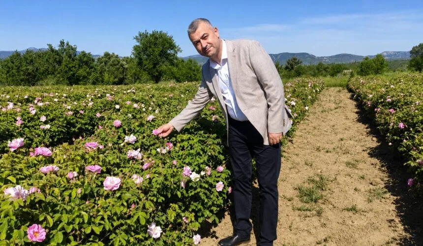 Gülün Başkentinde Hummalı Çalışma: Isparta Buram Buram “Gül” Kokuyor!